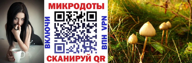 где купить наркоту  Великий Устюг  Псилоцибиновые грибы Magic Shrooms 