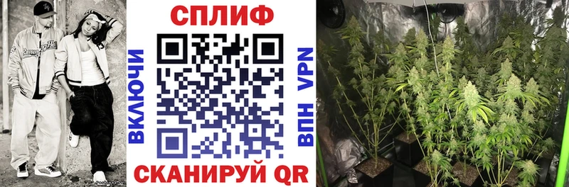 сайты даркнета какой сайт  Великий Устюг  Бошки Шишки Amnesia 